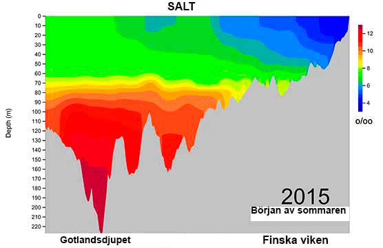 Saltprofil2015